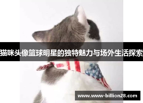 猫咪头像篮球明星的独特魅力与场外生活探索