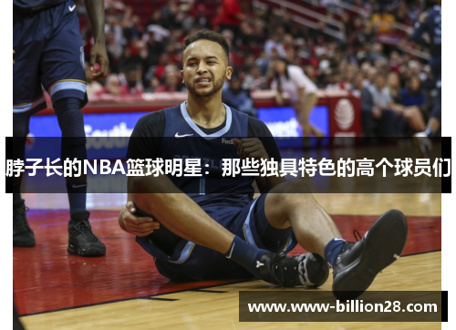 脖子长的NBA篮球明星：那些独具特色的高个球员们